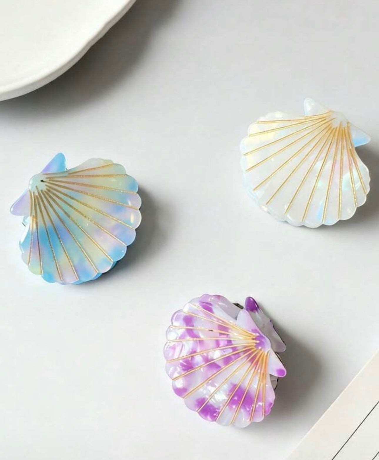 🐚 Claw