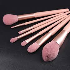 Mini travel makeup brush set with pink  pouch